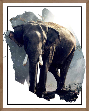 Elefant i skovlysning - Plakat dyr