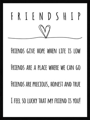 Friendship - Plakat citat