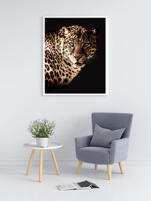 Leopard - Plakat dyr