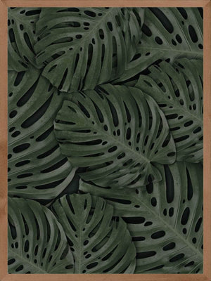 Monstera blade plakat botanik