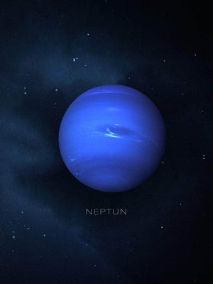 Neptun plakat natur