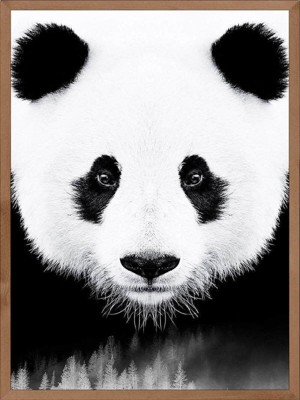 Panda plakat dyr