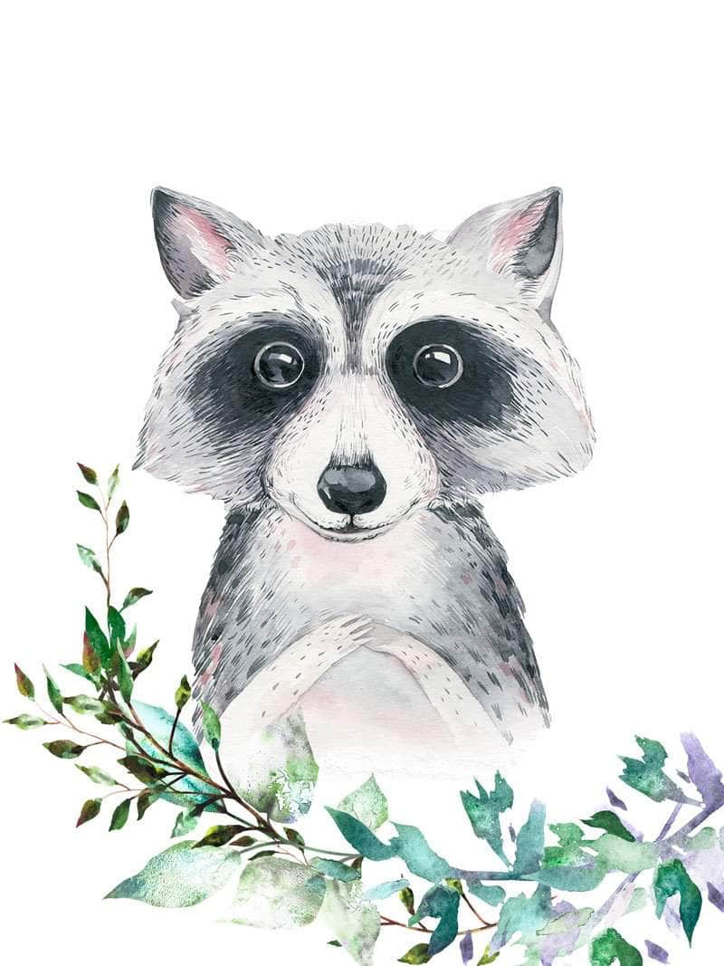 Portræt af en vaskebjørn børneplakat børneplakat