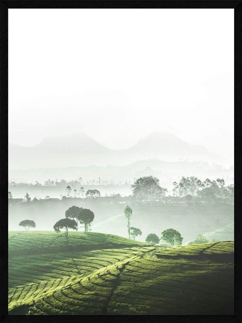 Rismarker i tåge plakat natur