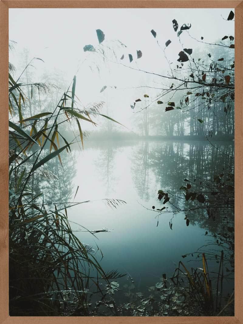 Sø omringet af tåge plakat natur