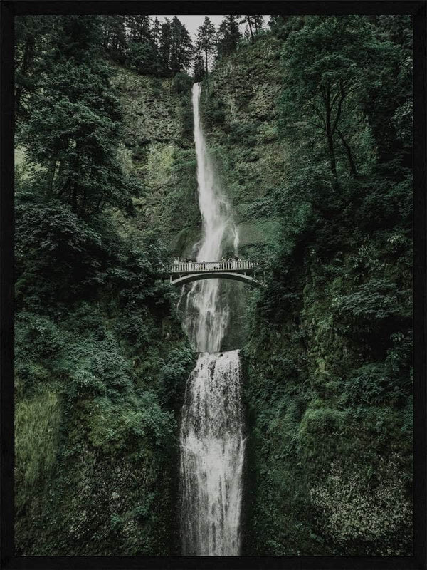 Vandfald og broen plakat natur