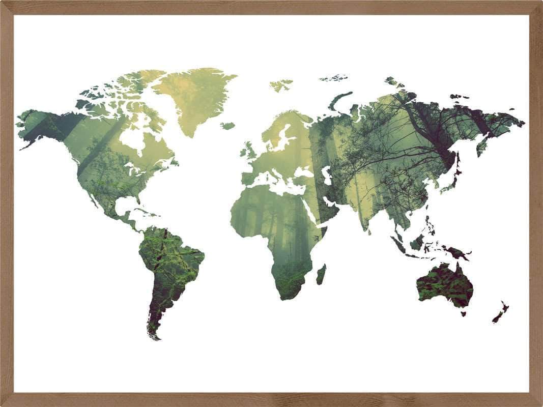 Verdenskort plakat - Skov i tåge verdenskort