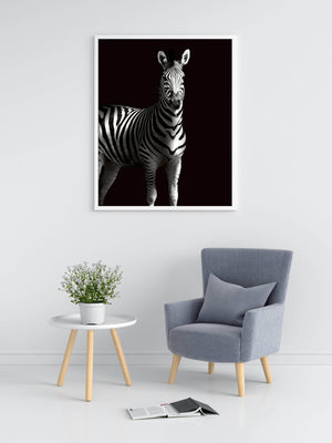 Zebra i skygge - Plakat dyr